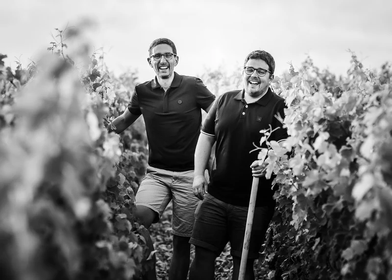 Sancerre "La Croix Renaud" - Vignobles Berthier 2018