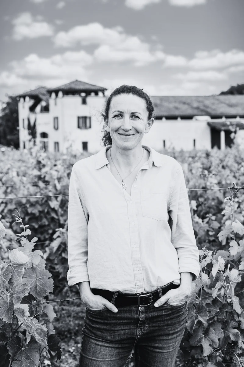 Grand Vin Les Verdots Vignoble des Verdots 2021