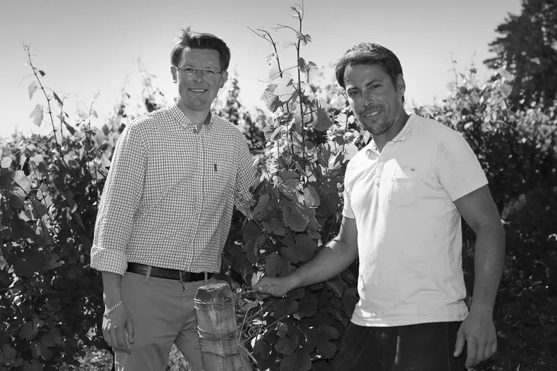 Arbois Savagnin Ouillé domaine Rolet 2023