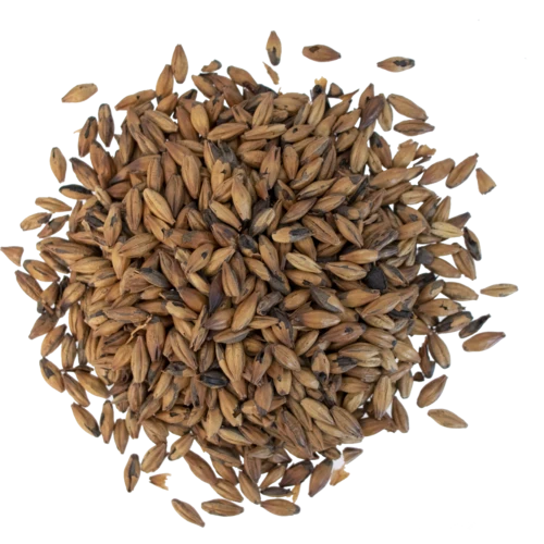 Pale Chocolate Malt 200°L | Specialty Brewing Malt