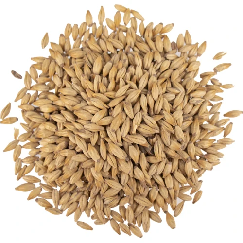 Caramel/Crystal Malt 15°L | Specialty Brewing Malt