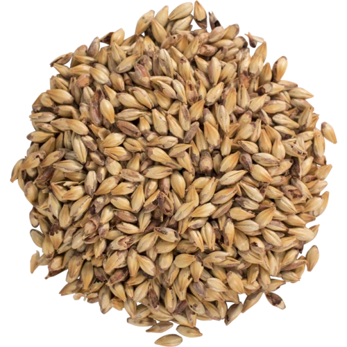 Caramel/Crystal Malt 60°L | Specialty Brewing Malt