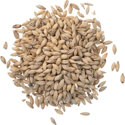 Munich Malt 10°L | Premium Base Brewing Malt