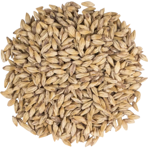Carapils (Dextrin) Malt | Specialty Brewing Malt