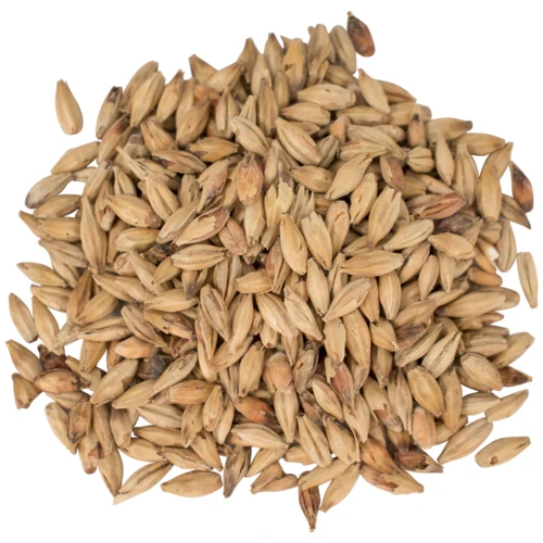Melanoidin Malt 25°L | Specialty Brewing Malt