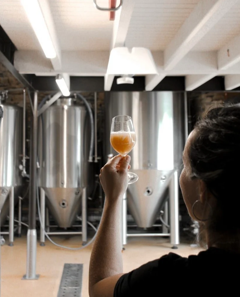 Wild Grisette | Bière de fermentation spontanée élevée en fut de vin jaune