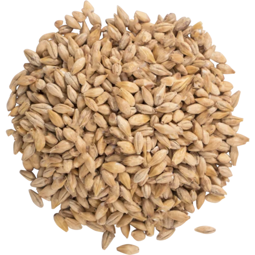 Acidulated Malt 2.5°L | Specialty Brewing Malt
