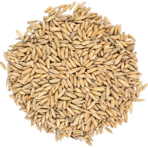 Oat Malt | Premium Base Brewing Malt