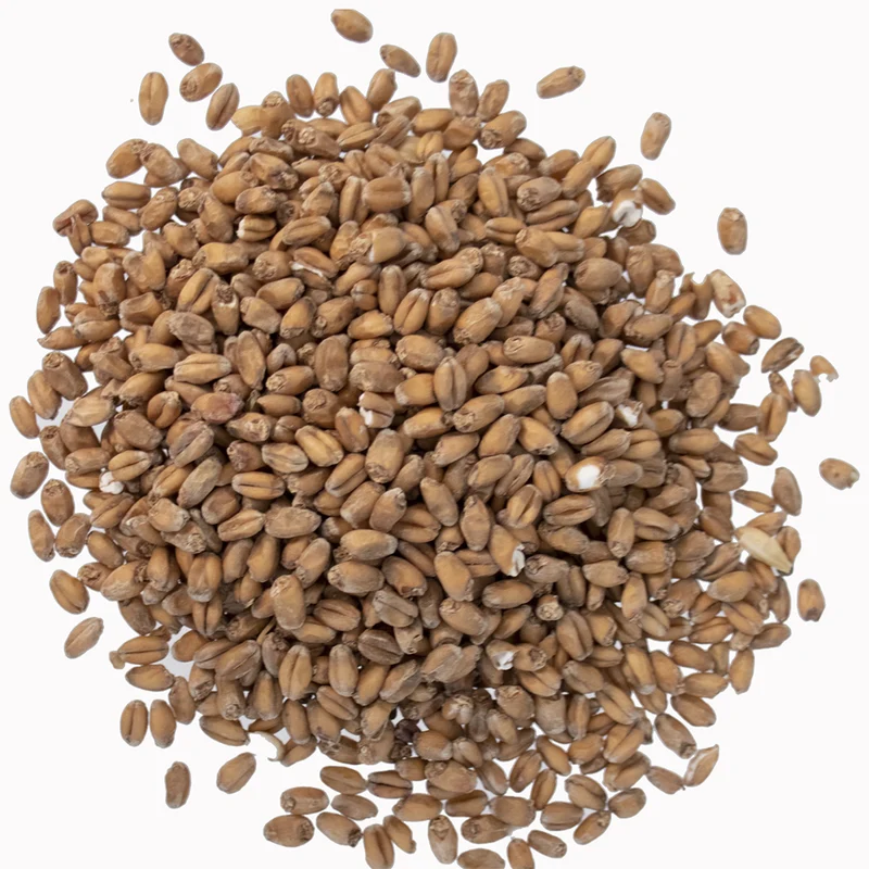 Red Wheat Malt | Premium Base Brewing Malt