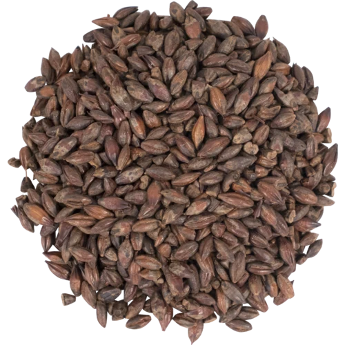Roasted Barley 300°L | Specialty Brewing Malt
