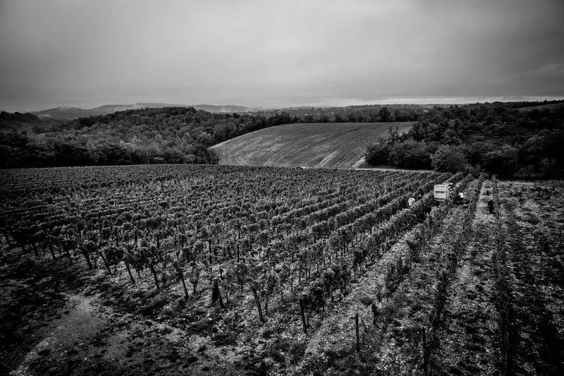 Nectar des dieux 2024 1L
