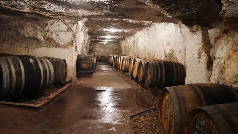 Clos aux renards, 2021