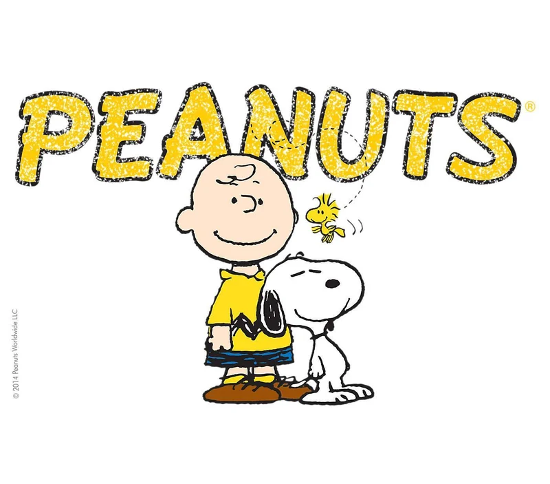 Peanuts Colossal 16 oz. Tervis Tumbler with Lid - (Set of 2)