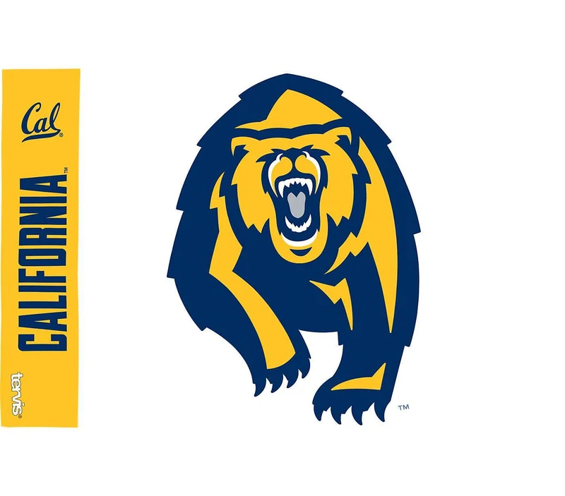University of California - Berkeley Colossal 16 oz. Tervis Tumbler with Lid - (Set of 2)