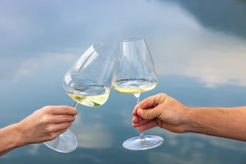 Verre à vin blanc Riedel - Verre Riesling - Winewings - 1017 ml