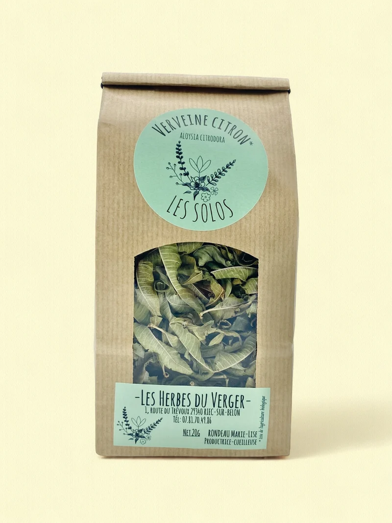Verveine citronnée | Infusion