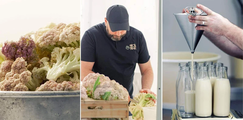 Tartinade potinoisettes coriandre