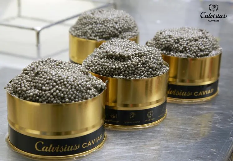 Caviar Calvisius Tradition Royal | 50g