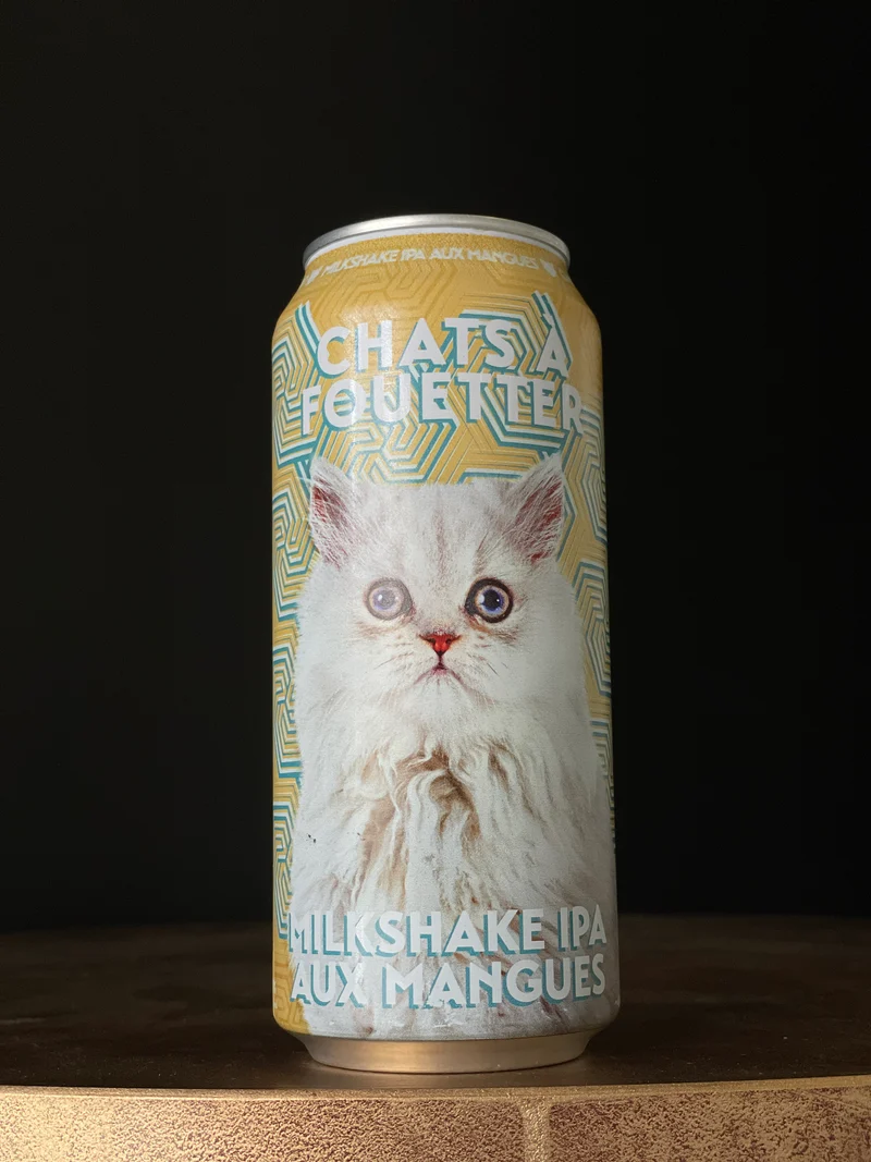 Chat à fouetter