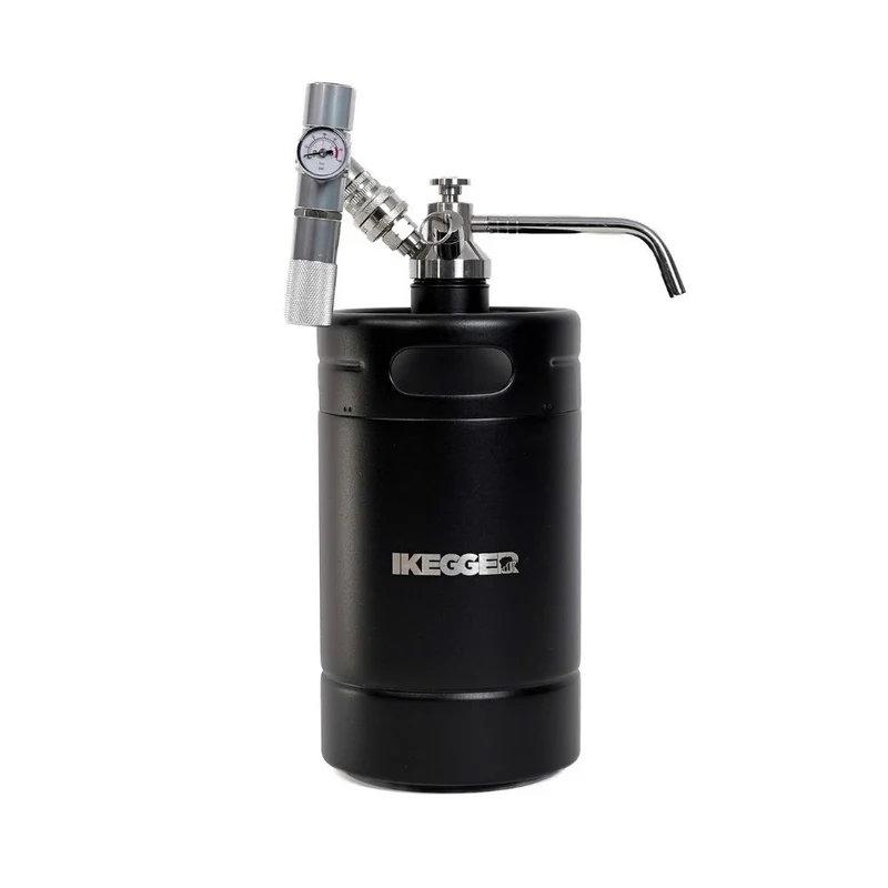 iKegger 2.0 | Basic Mini Keg Set with Push-Tap & Mini Regulator – Tap System for Beer, Cocktails & Nitro