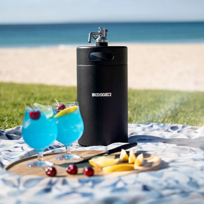 iKegger 2.0 | Basic Mini Keg Set with Push-Tap & Mini Regulator – Tap System for Beer, Cocktails & Nitro
