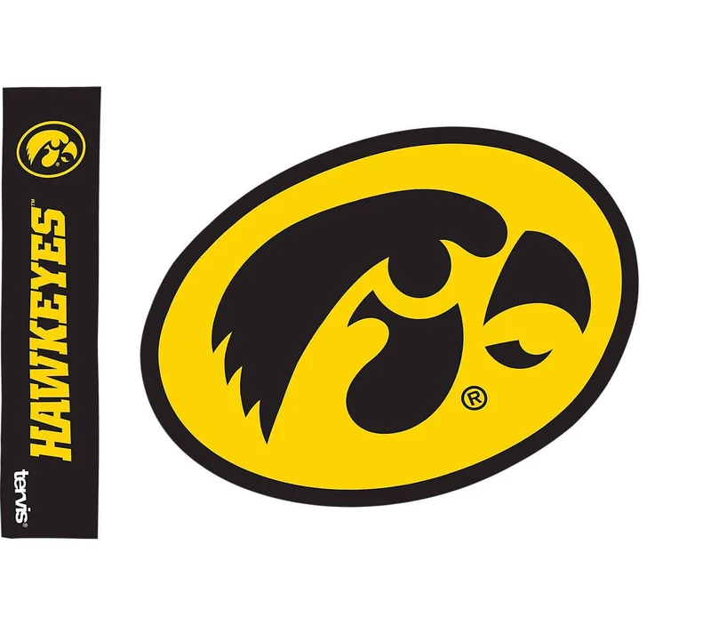 University of Iowa Colossal 16 oz. Tervis Tumbler with Lid - (Set of 2)