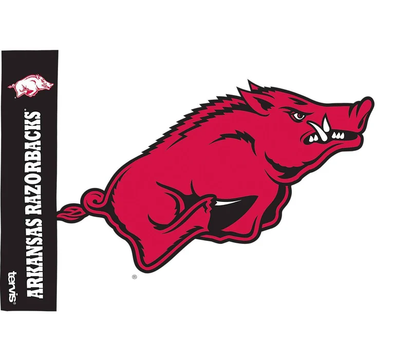 University of Arkansas Colossal 24 oz. Tervis Tumbler with Lid - (Set of 2)