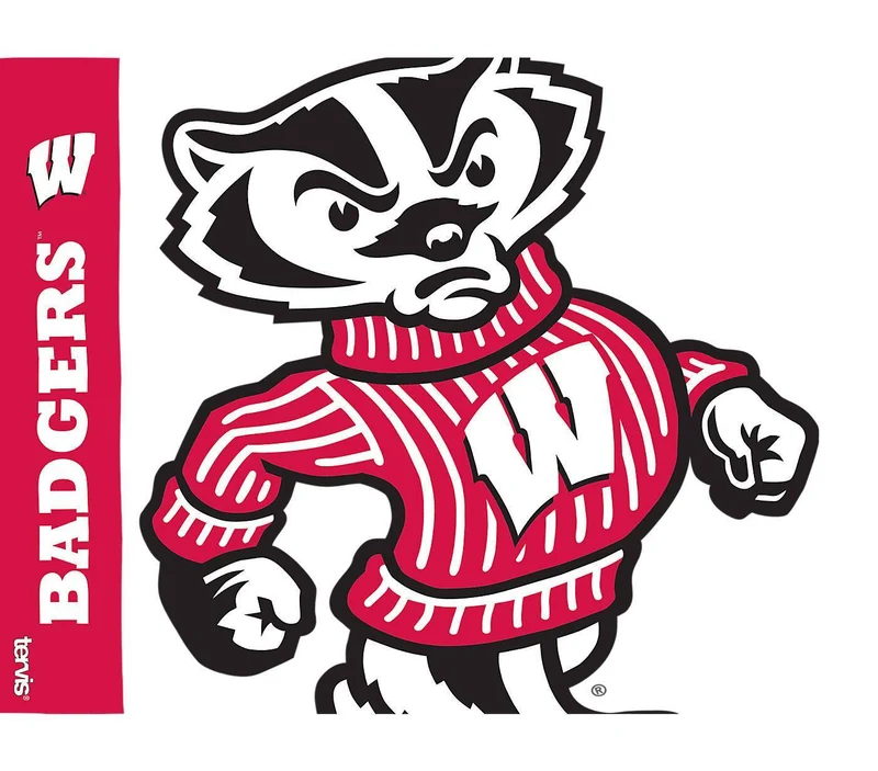 University of Wisconsin Colossal 24 oz. Tervis Tumbler with Lid - (Set of 2)
