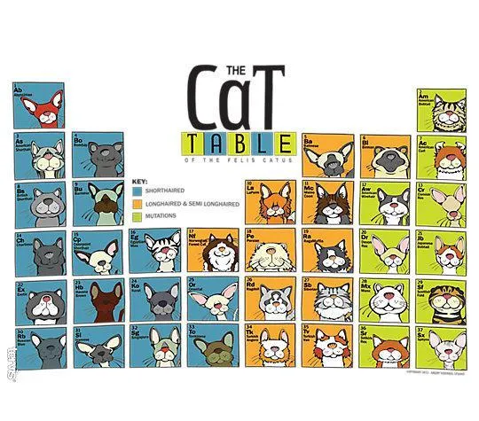 Cat Periodic Table 24 oz. Tervis Tumbler with Lid - (Set of 2)
