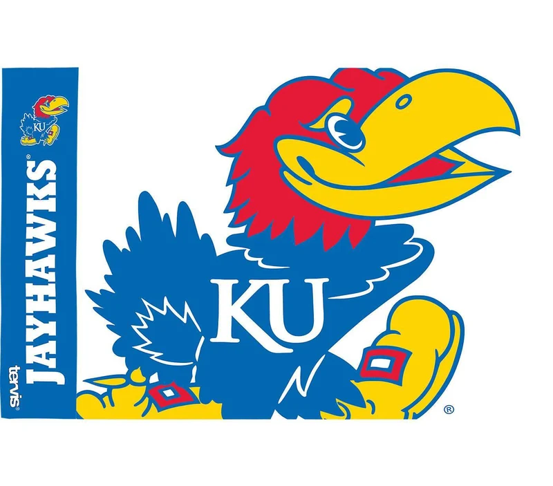 University of Kansas Colossal 24 oz. Tervis Tumbler with Lid - (Set of 2)