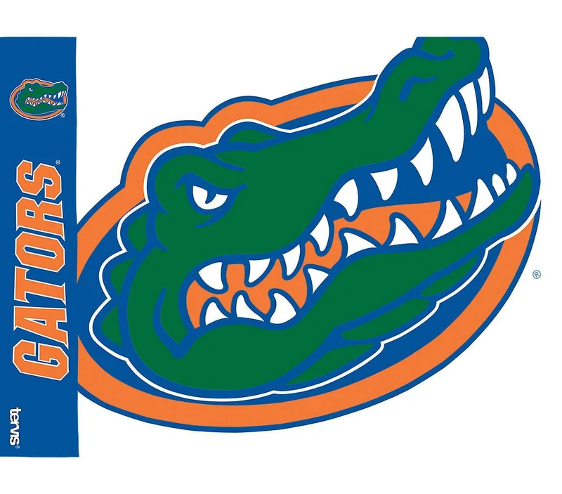 University of Florida Colossal 24 oz. Tervis Tumbler with Lid - (Set of 2)