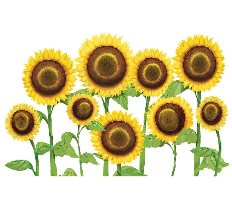 Sunflowers 24 oz. Tervis Tumbler with Lid - (Set of 2)