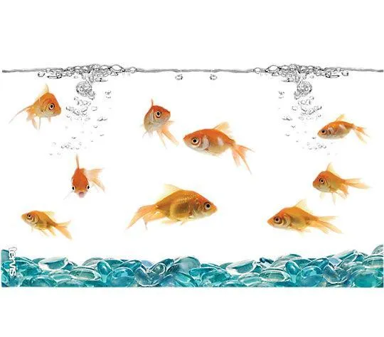 Goldfish 16 oz. Tervis Tumbler with Lid - (Set of 2)