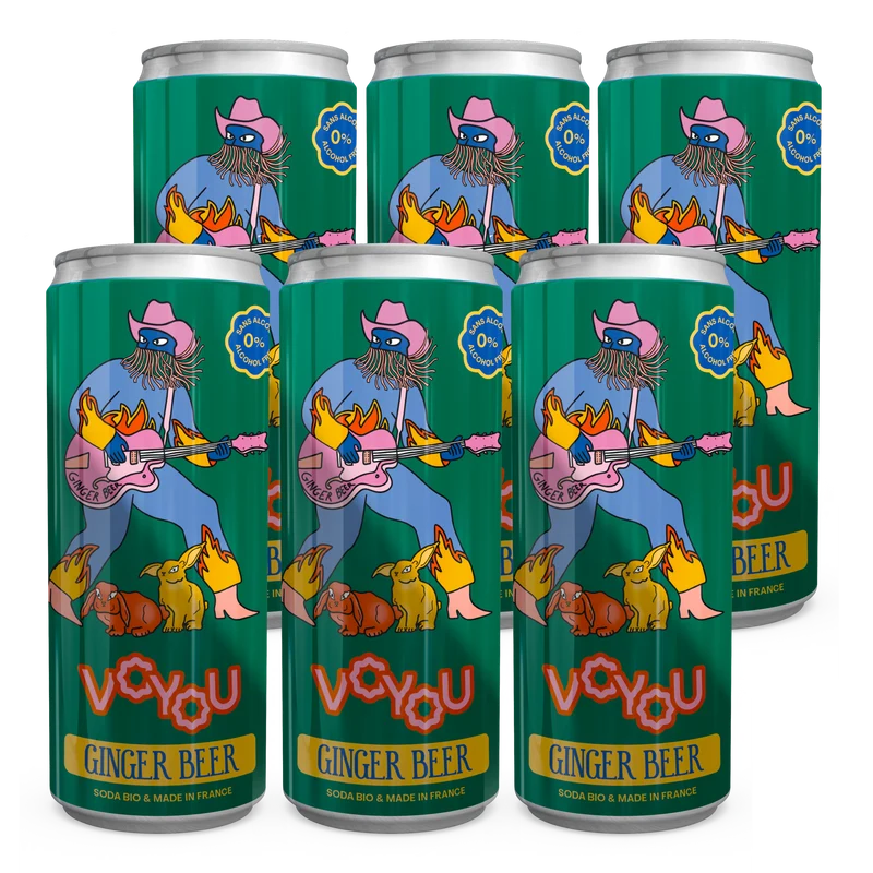 Pack de 6 Ginger Beer Voyou - 25cl