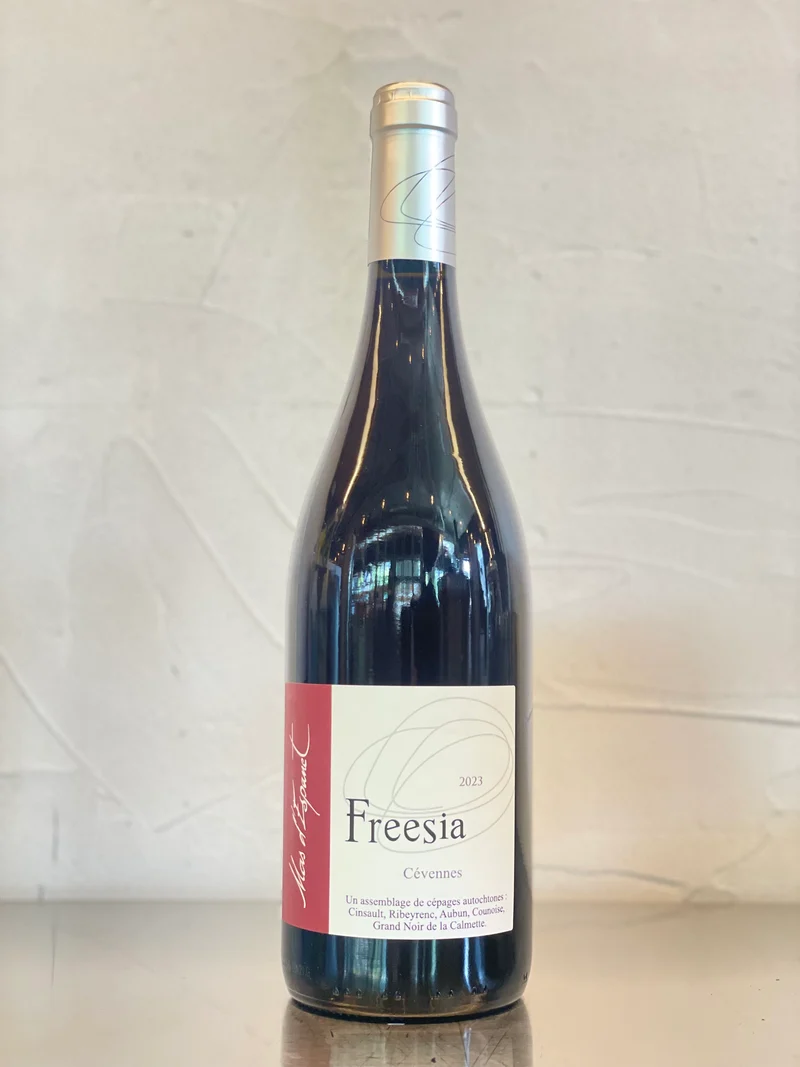 Freesia 2023