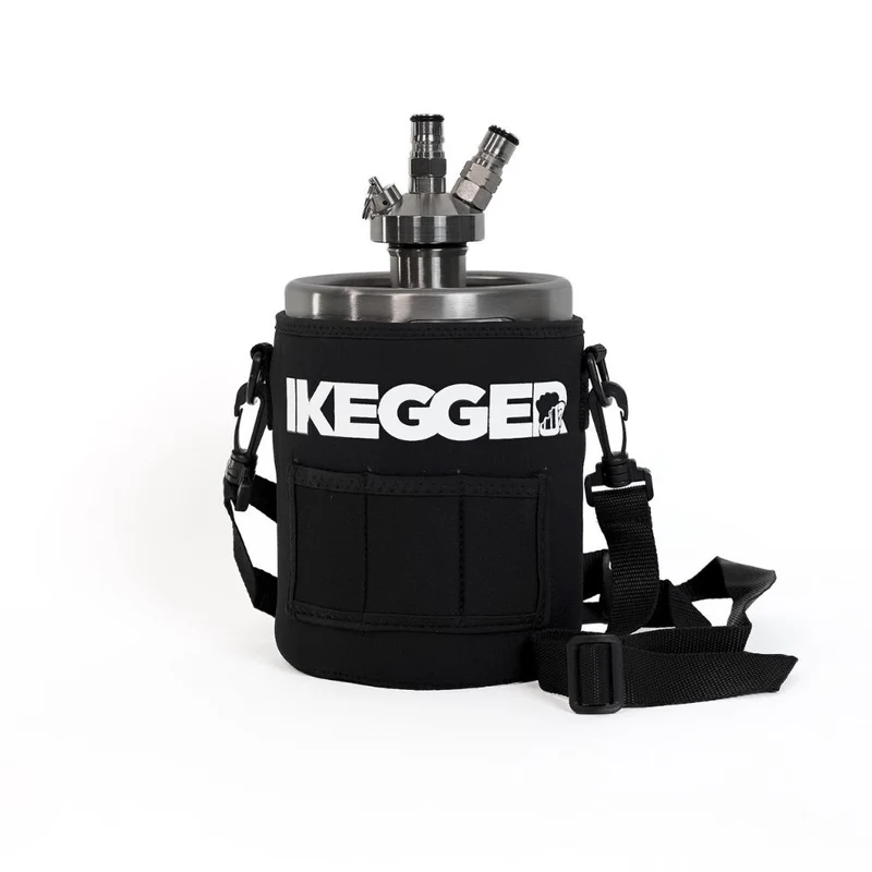 2L iKegger Mini Keg | Silver