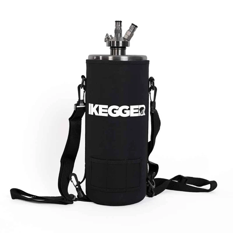 4L iKegger Mini Keg | Silver
