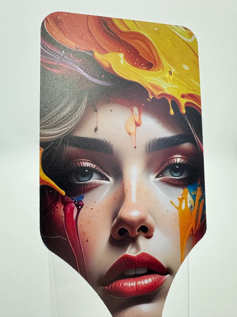 Palettes / Porte-shots