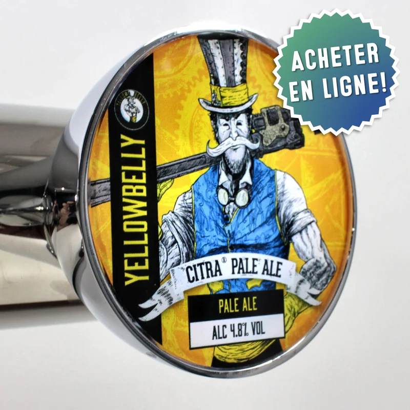 Cavaliers lumineux de pompe à bière plats et macaron publicitaire