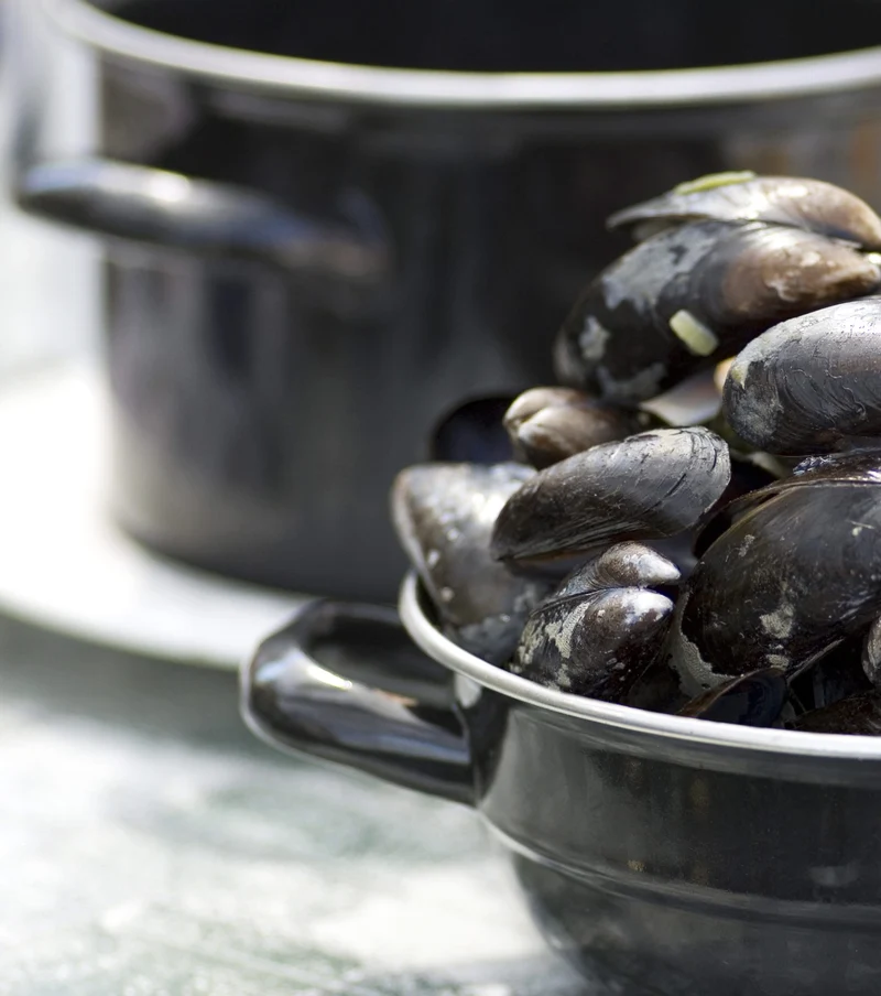 Casserole Cosy & Trendy - Casserole a moules - ø 12 cm / 900 ml