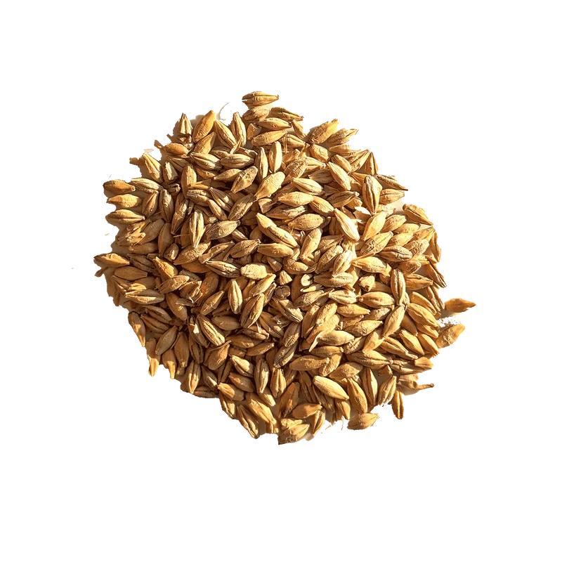 Malt Ultra Pale - BEST - 2 EBC