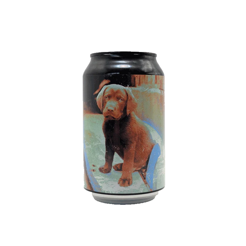 Dark Lab - Dogtown 33cl | IPA