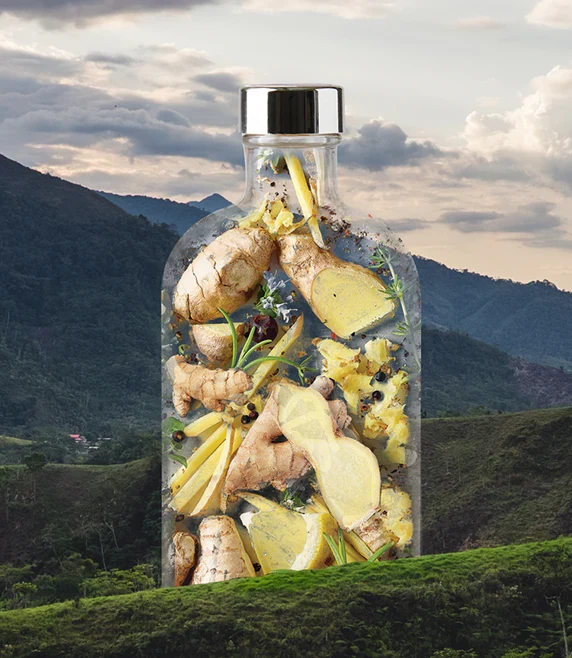 Gimber N°3 Lily 200 ml sans alcool