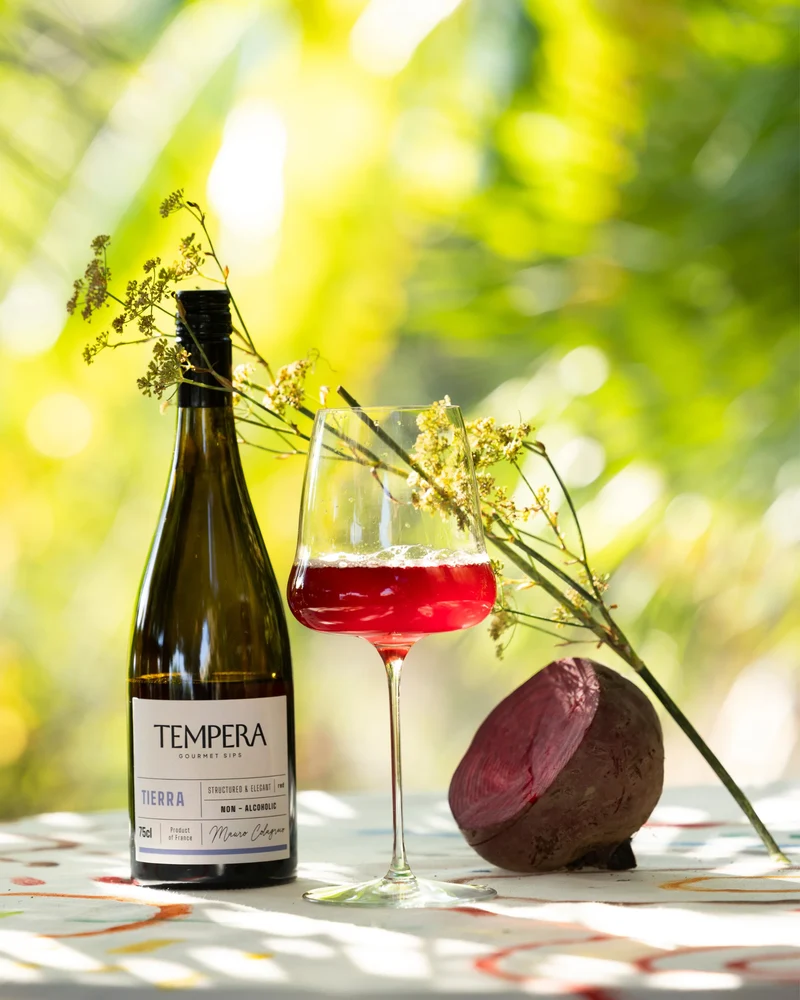 TIERRA, boisson végétale sans alcool - Boisson gastronomique sans alcool de Tempera