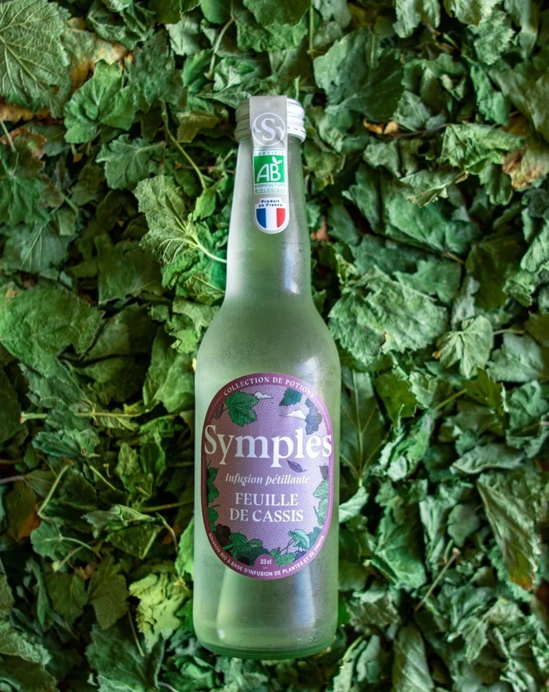 Symples infusion de feuille de cassis