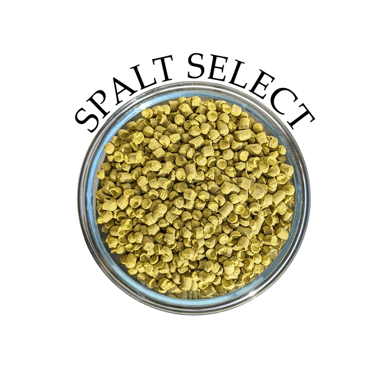 Houblon Spalt Select (DE)