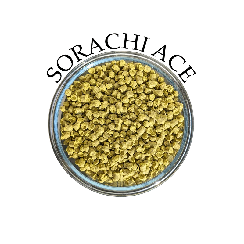 Houblon Sorachi Ace (US)