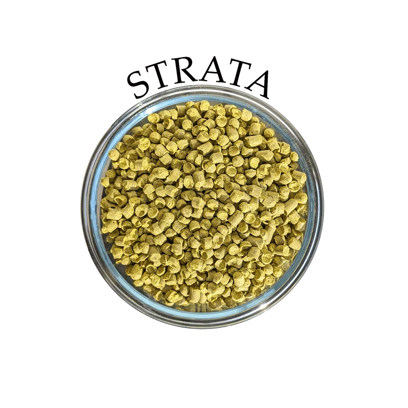 Houblon Strata (US)