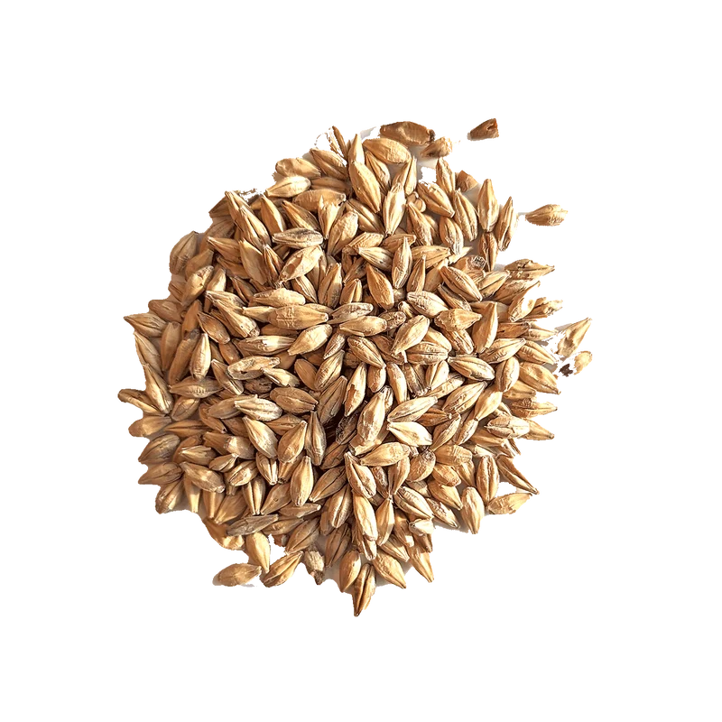 Malt Caramel Hell - BEST - 20 à 40 EBC