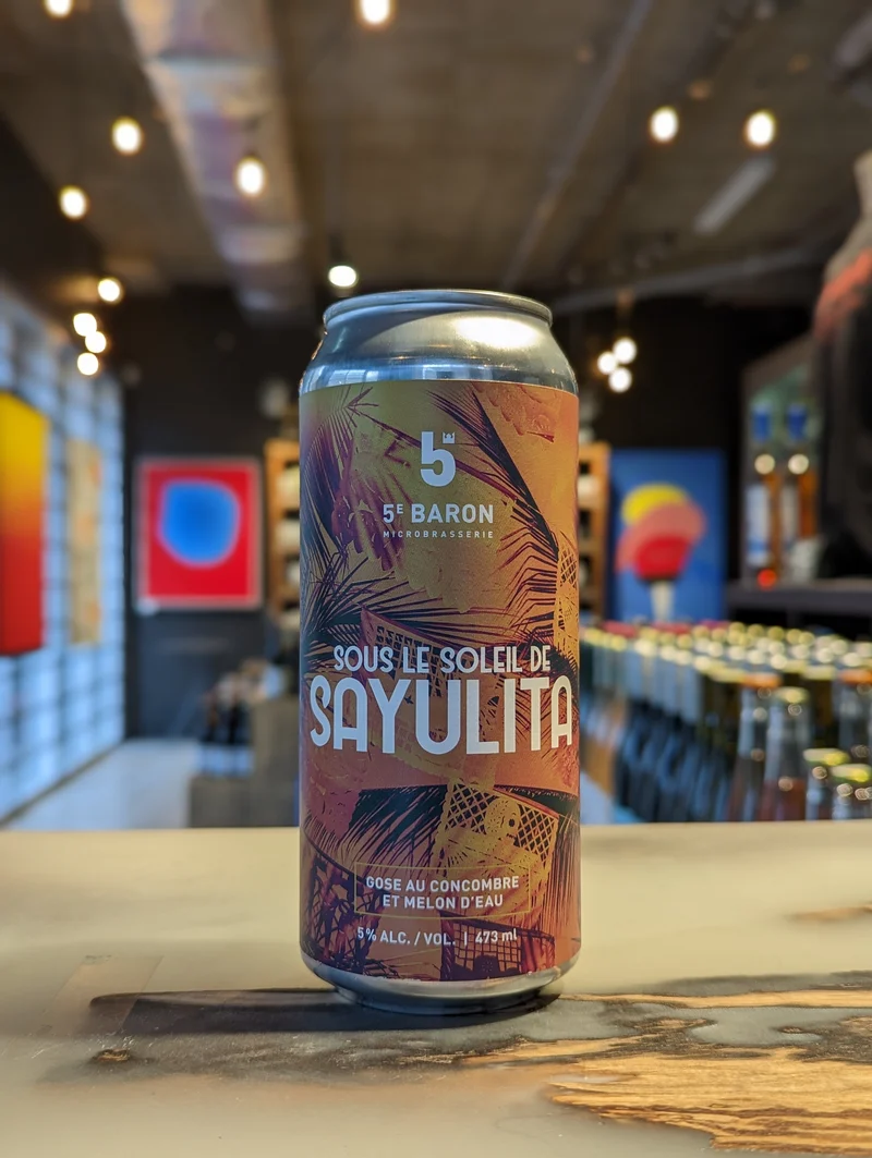 Sous le Soleil de Sayulita